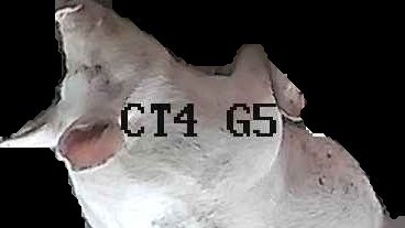 Crop