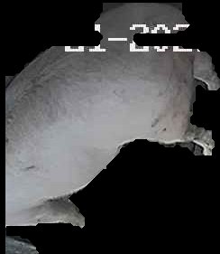 Crop