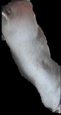 Crop