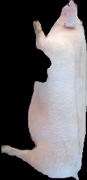 Crop