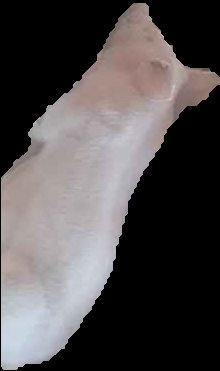 Crop