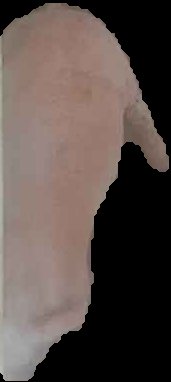 Crop