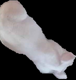 Crop