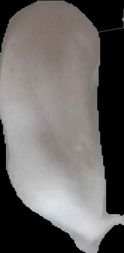 Crop