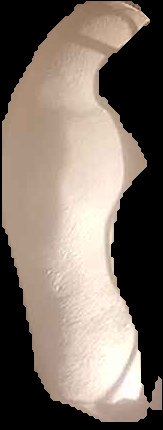 Crop