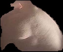 Crop