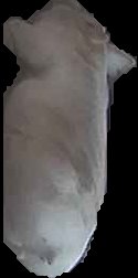 Crop
