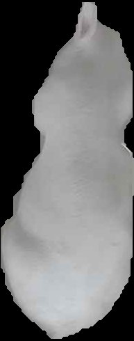 Crop