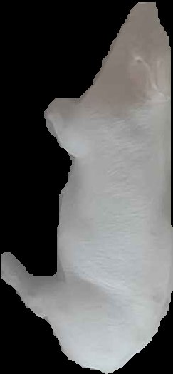 Crop