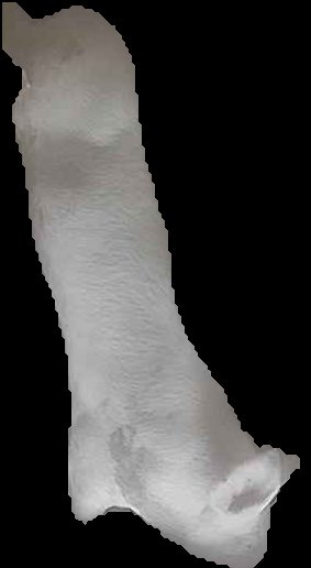 Crop