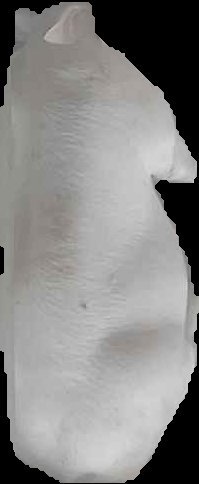 Crop