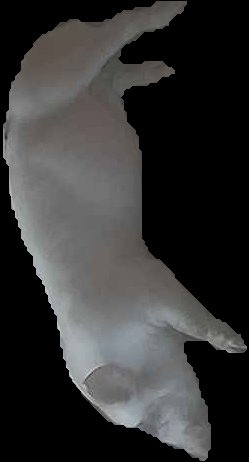 Crop