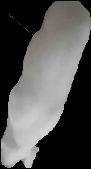 Crop
