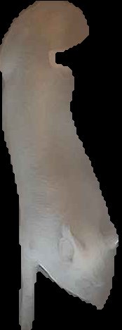 Crop
