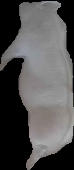 Crop