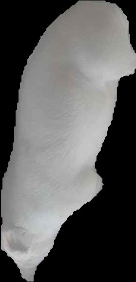 Crop