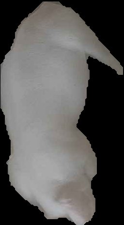 Crop