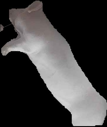 Crop