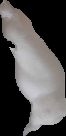 Crop