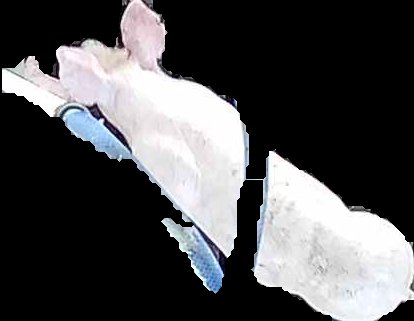 Crop