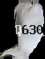 Crop