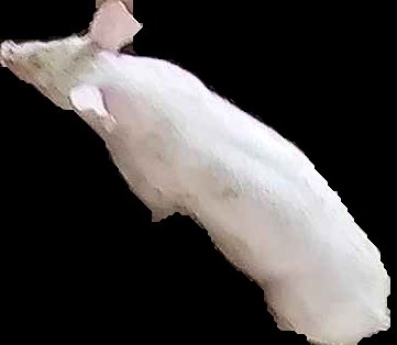 Crop