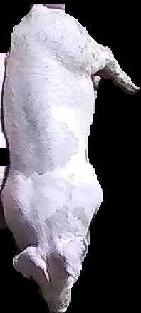 Crop
