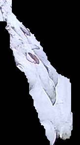Crop