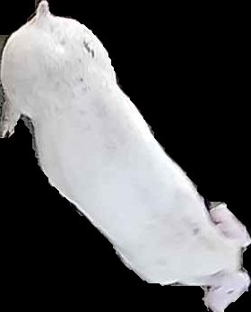 Crop