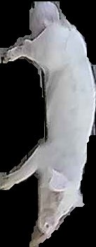 Crop
