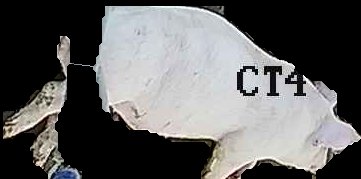 Crop