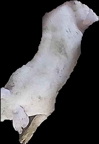 Crop