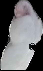 Crop