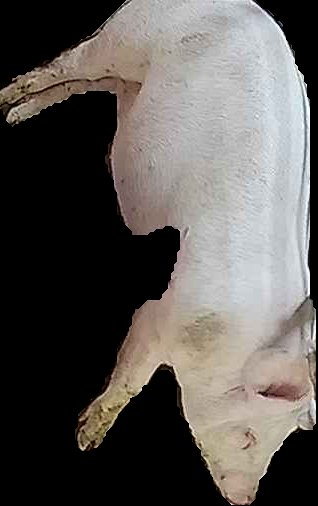Crop