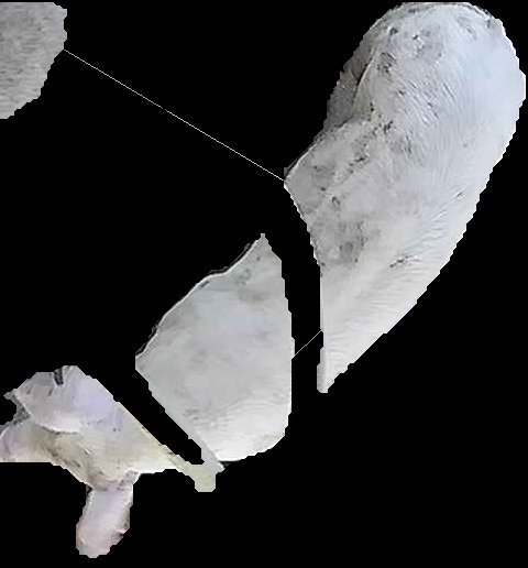 Crop