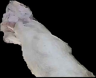 Crop