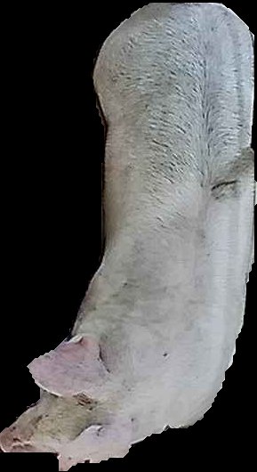 Crop
