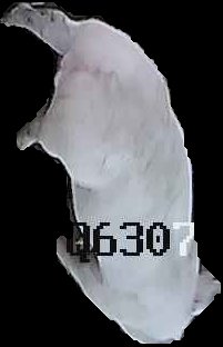 Crop