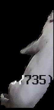 Crop