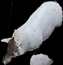 Crop