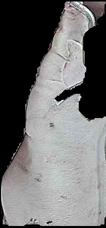 Crop
