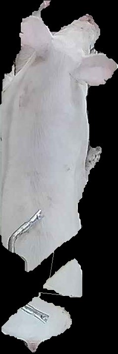 Crop