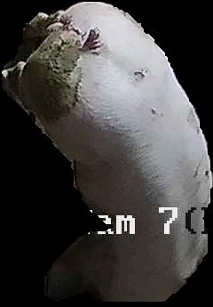 Crop