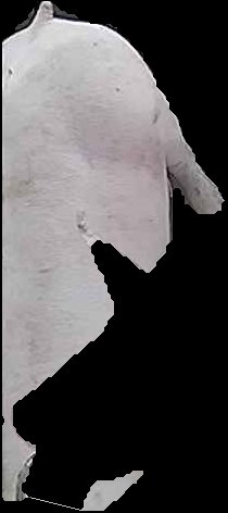Crop