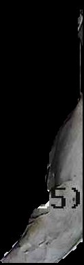 Crop