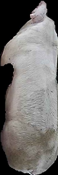 Crop