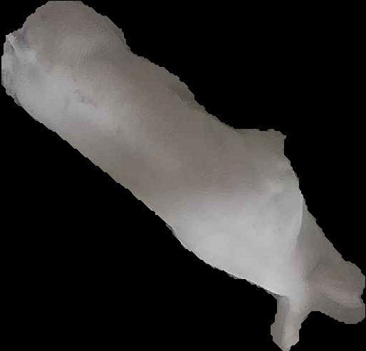 Crop