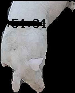 Crop