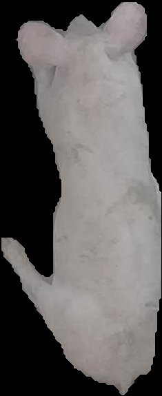 Crop