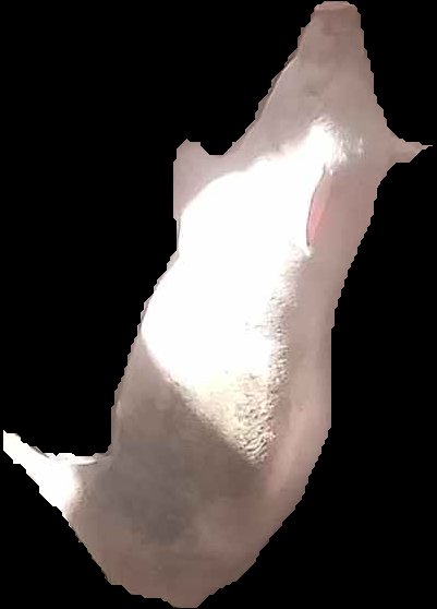 Crop